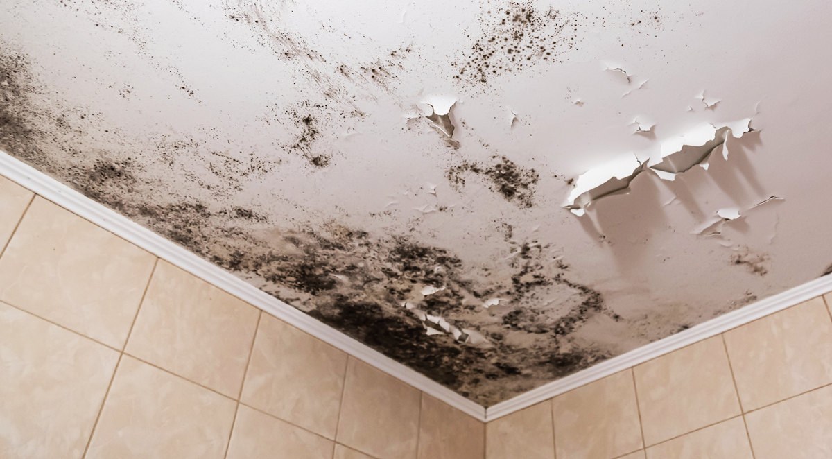 Warto wiedzieć - wentylacja