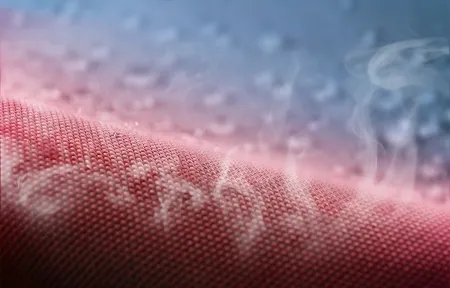 Paroprzepusczalność 