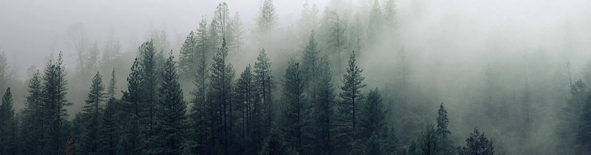 deklaracja środowiskowa